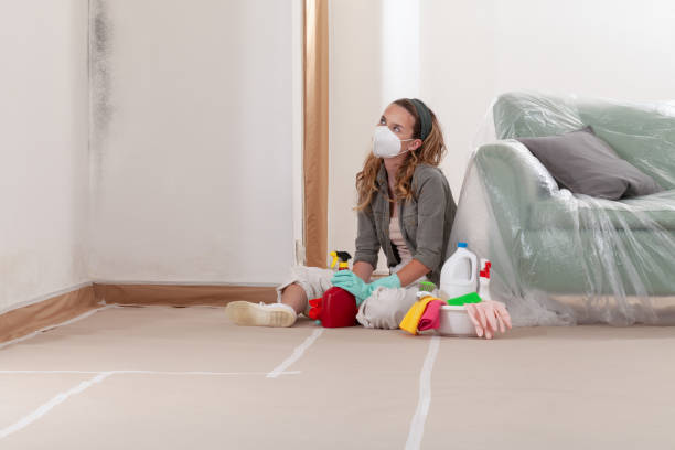 Reliable Crawl Space Mold Removal contractor in Sanibel, FL by WQB Mold Removal